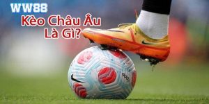 Kèo Châu Âu WW88 - Giới Thiệu Luật Cá Độ 1x2 Hấp Dẫn