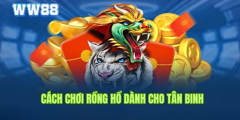 Phương pháp đánh Dragon Tiger từ cao thủ